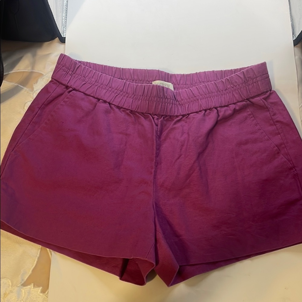 J Crew Women's Purple Shorts ( 000474)